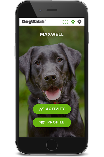 DogWatch of Memphis, Henderson, Tennessee | SmartFence WebApp Image