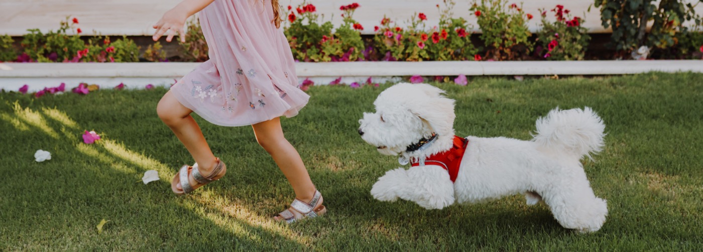 DogWatch of Memphis, Henderson, Tennessee | Outdoor Hidden Dog Fences Slider Image